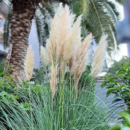 Phoenix Garden I