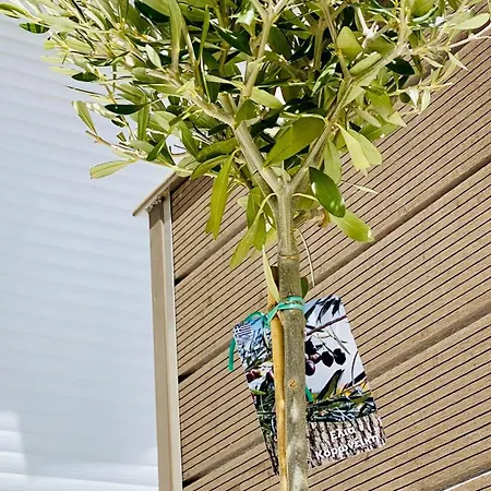 Phoenix Garden I Apartment Athens
