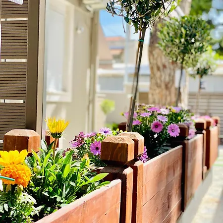 Phoenix Garden I